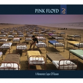 Pink Floyd - A Momentary Lapse of Reason [Digipack] [수입]