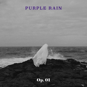 퍼플레인(Purple Rain) - 1st EP 작품번호 1번 (Op. 01)