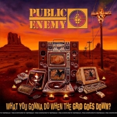 Public Enemy (퍼블릭 에너미) - 15집 What You Gonna Do When The Grid Goes Down? [수입]