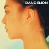 댄딜라이언 (Dandelion) - 0530