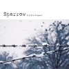센스 프로젝트 (S.E.N.S. Project) - Sparrow