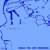 New Link - While You Are Dreaming