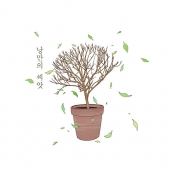 채세파 - 소리, 사랑의 형태