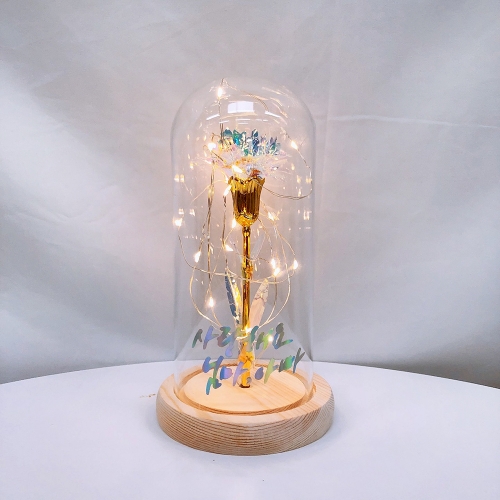 [발트728] 홀로그램카네이션 문구제작 LED 유리돔 어버이날 꽃 선물