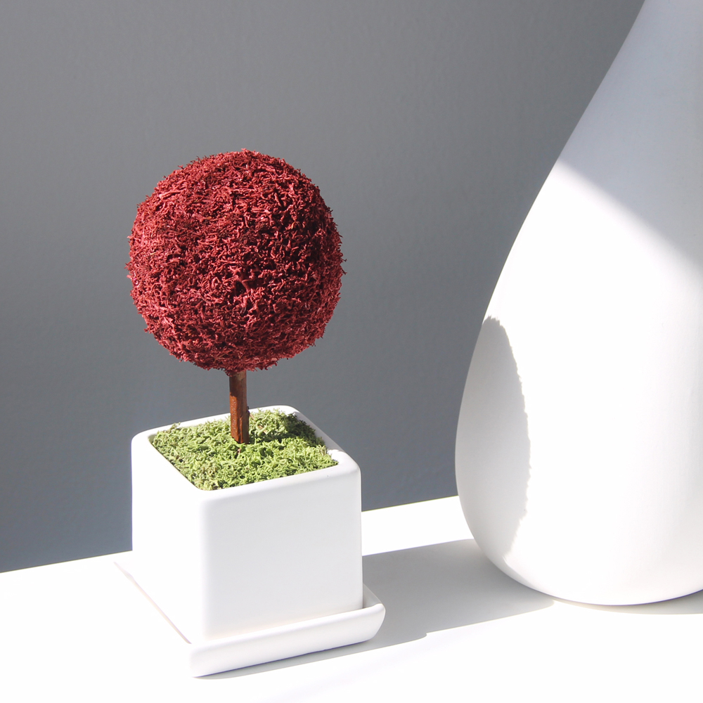 관리쉬운 공기정화식물 천연 디퓨저 화이트 나무 16색상