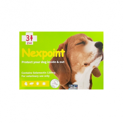 넥스포인트 L (10~20kg) 3P *캐치원 대체*