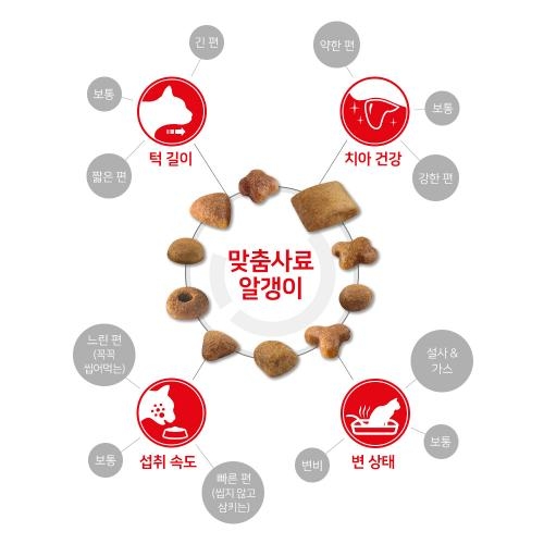 [로얄캐닌] 고양이사료 키튼 12kg 새끼고양이용 사료