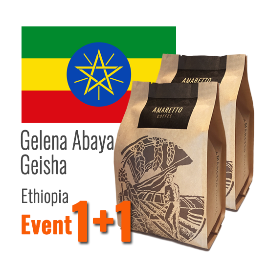 아마레또 에티오피아 겔레나 아바야 게이샤 G1 내추럴 갓볶은 원두커피 200g X 2봉 1+1 한봉지 더 이벤트 50% 할인 약볶음