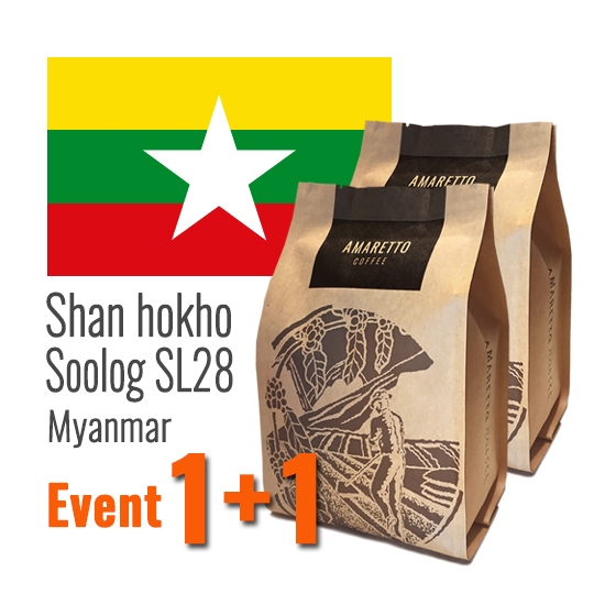 아마레또 미얀마 샨 호코 수록 SL28 갓볶은 원두커피 250g X 2봉 1+1 한봉지 더 이벤트 50% 할인 강볶음