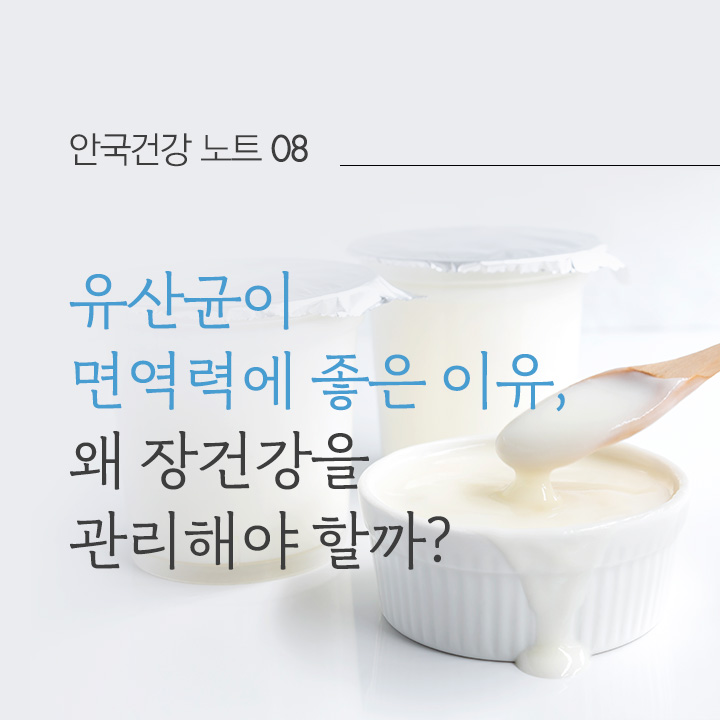유산균이 면역력에 좋은 이유, 왜 장건강을 관리해야 할까?