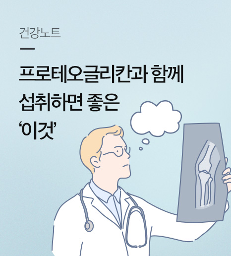 연골 구성성분, 프로테오글리칸과 함께 섭취하면 좋은 관절건강 성분 추천