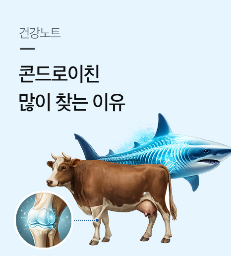 관절건강 콘드로이친 많이 찾는 이유
