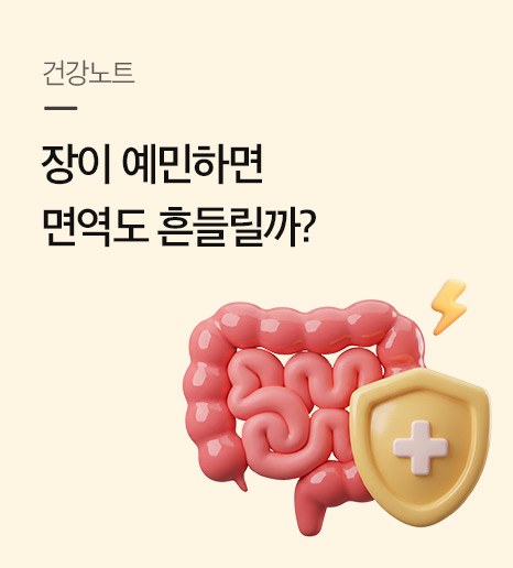 장이 예민하면 면역도 흔들릴까?