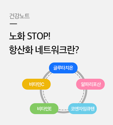 우리 몸의 노화를 막는 항산화네트워크