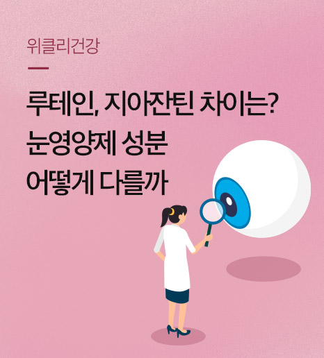 루테인효능, 루테인 지아잔틴, 눈영양제 종류