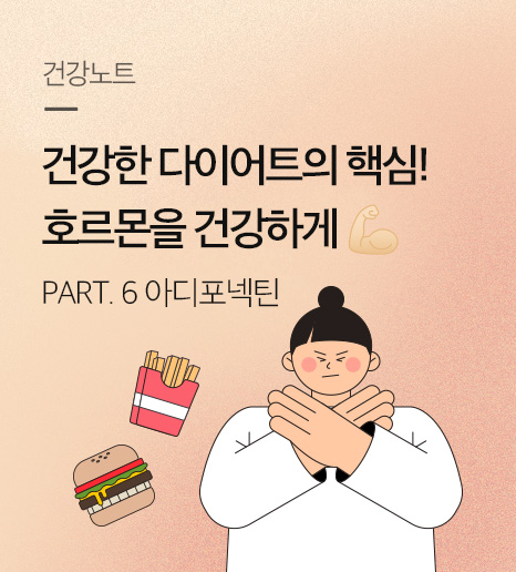 건강한 다이어트의 핵심, 호르몬을 건강하게! - 지방분해 호르몬, 아디포넥틴 -