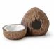 EXO-TERRA 티키 코코넛 은신처 + 물그릇