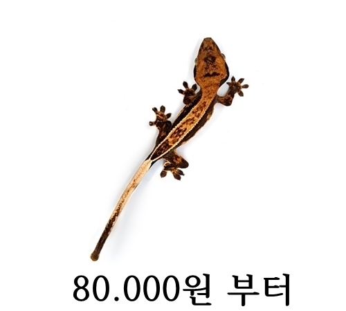 풀 핀스트라이프