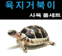 육지거북이 사육세트 