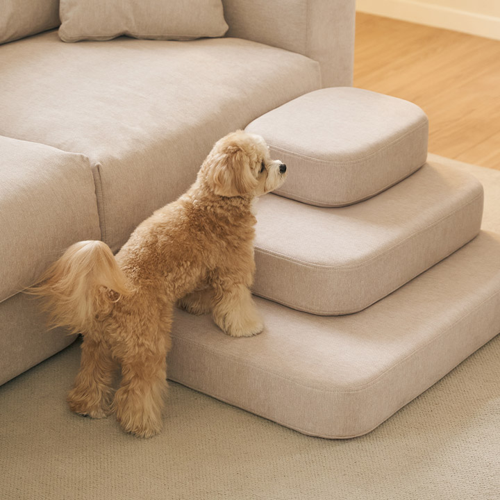 베이직/라운드 와이드 논슬립 펫스텝 2단/3단 강아지 계단