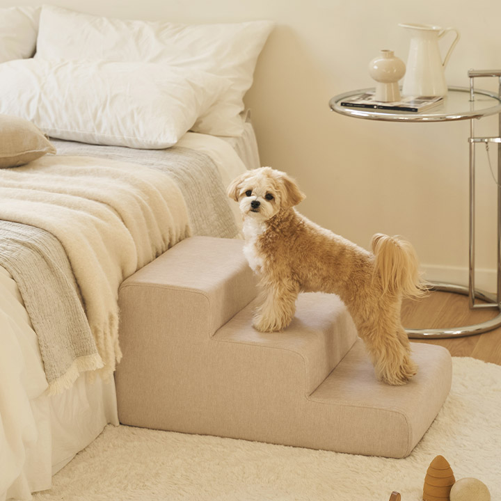 베이직/라운드 와이드 논슬립 펫스텝 2단/3단 강아지 계단