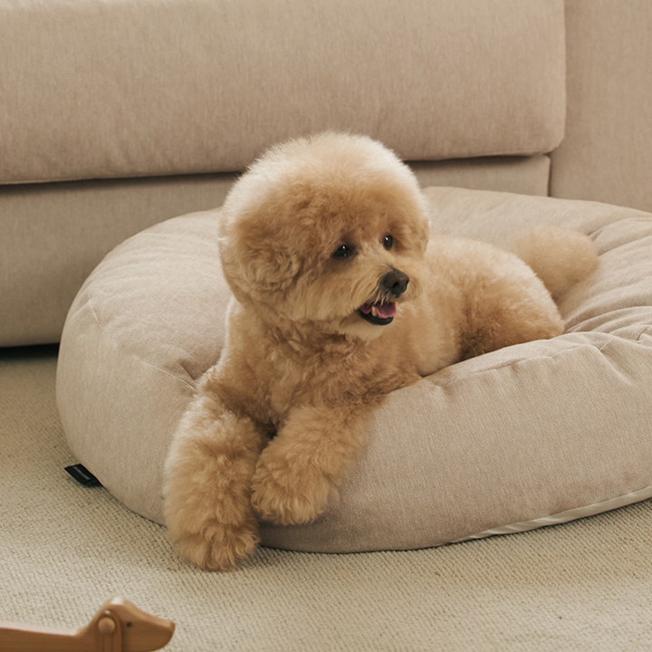 ●역마진특가●꼼미 프리미엄 빈백형 강아지 방석 애견 쿠션 L_커버분리