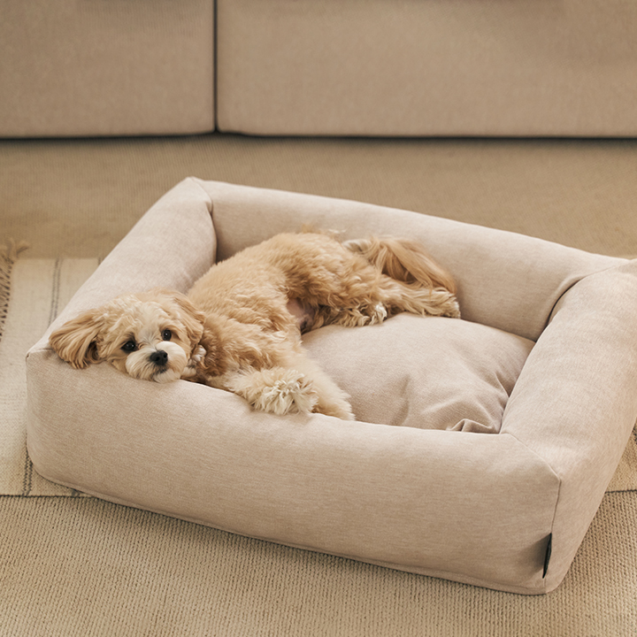 ●역마진특가●꼼미 반려동물 기능성 패브릭 커버 분리 방석 쿠션(빈백/범퍼)