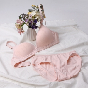 노와이어 데이바이데이 브라팬티세트 N5030