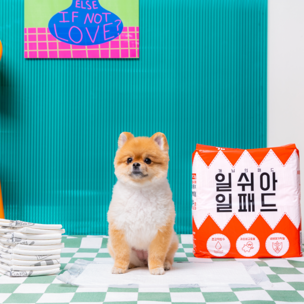 개님의패드 프리미엄 대용량 배변패드 베이직 40x50cm 100매