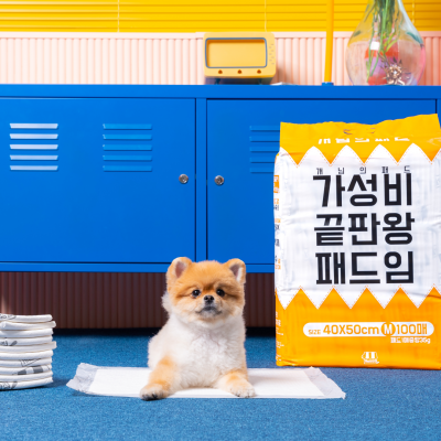 개님의패드 강아지 배변패드 소형 40x50cm 2팩 총 200매