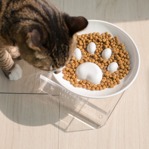 [유일앤펫] 참참볼 프리미엄 국산 도자기 고양이 강아지 식기+받침세트