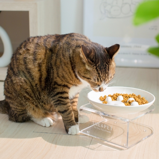 [유일앤펫] 참참볼 프리미엄 국산 도자기 고양이 강아지 식기+받침세트