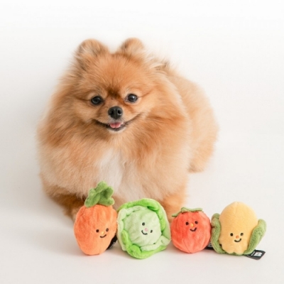 [바잇미] 야채밭 공 삑삑이 장난감 세트(2종)