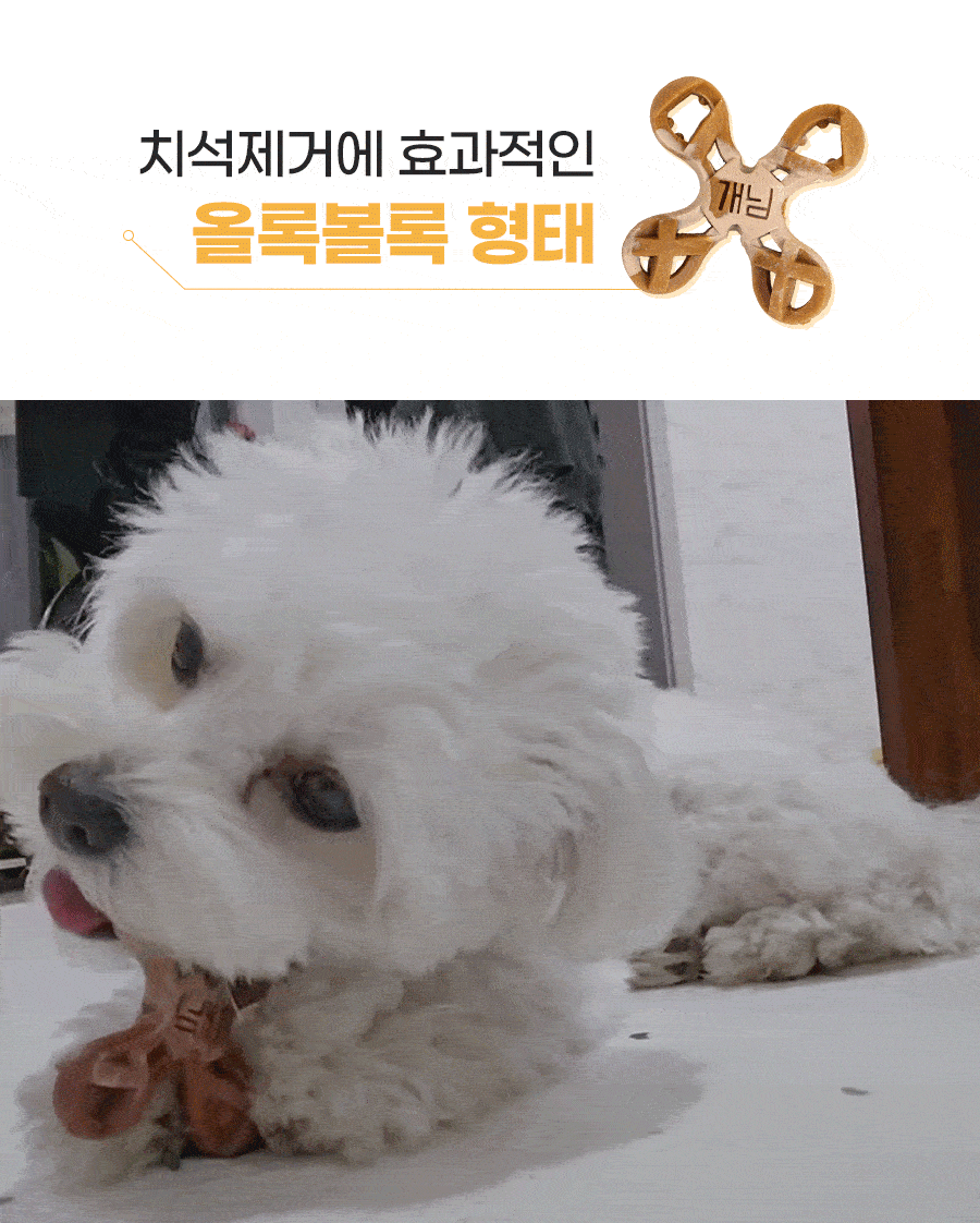 개님의껌 조이플래닛  (노즈워크/저알러지/입냄새&치석케어특화)