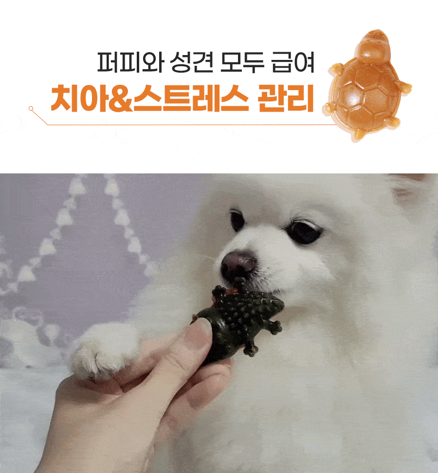 개님의껌 악어거북 (기호성/스트레스해소)