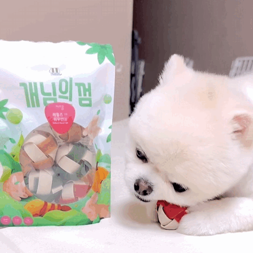 개님의껌 워우번볼(알탱이껌) (공놀이/저알러지/스트레스해소)
