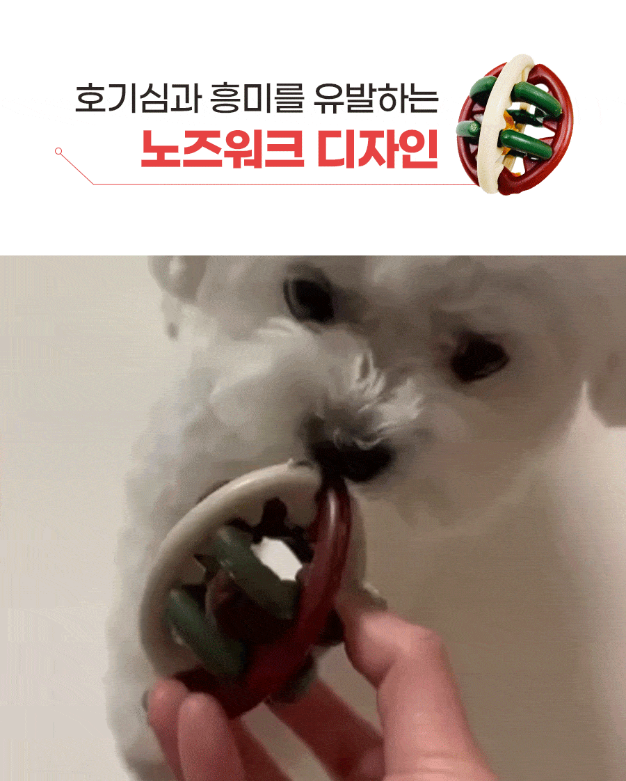 [중형박스] 개님의껌 레틀즈볼 7pcs (노즈워크/스트레스해소)