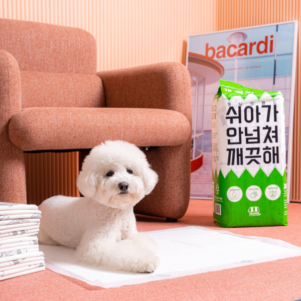 [개세페 1+1] 개님의패드 프리미엄 대용량 배변패드 대형 60x75cm 50매