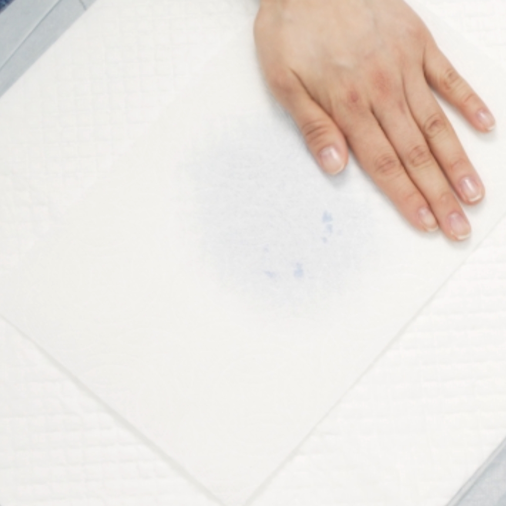 [박람회 특가] 개님의패드 프리미엄 대용량 배변패드 베이직 40x50cm 100매