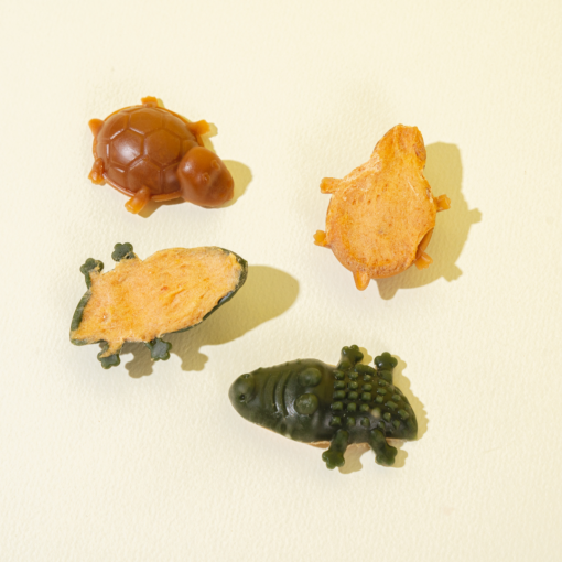 [라스트 특가] 개님의껌 악어거북 (기호성/스트레스해소)