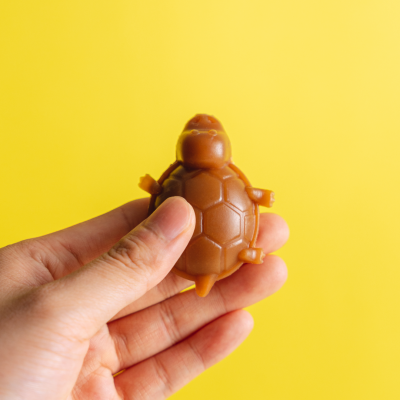 [라스트 특가] 개님의껌 악어거북 (기호성/스트레스해소)