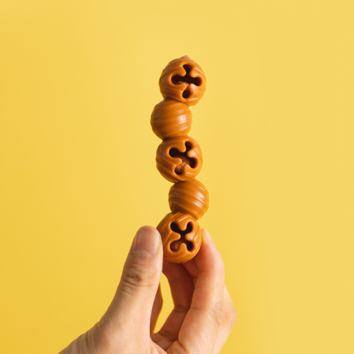 [라스트 특가] 개님의껌 캐터필러 (노즈워크/스트레스해소/치석케어)