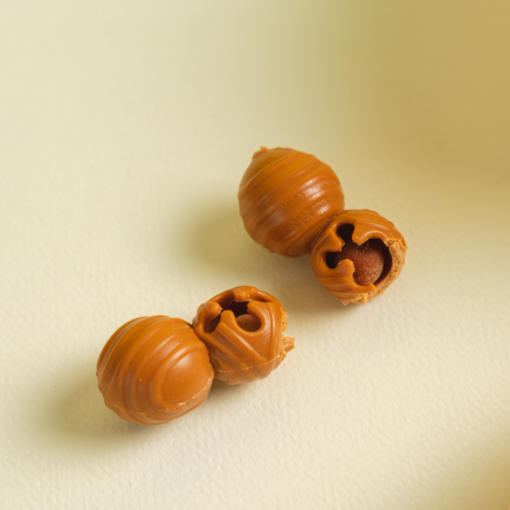 [라스트 특가] 개님의껌 캐터필러 (노즈워크/스트레스해소/치석케어)