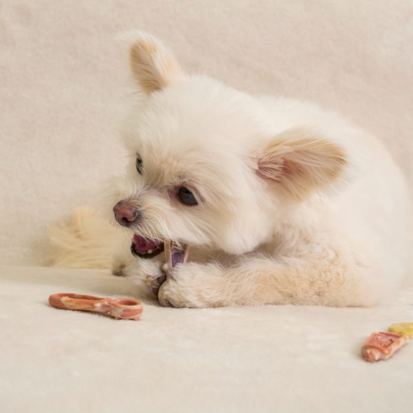 개님의껌 엔자임브러쉬플러스 (과일분말/덴탈케어강화)