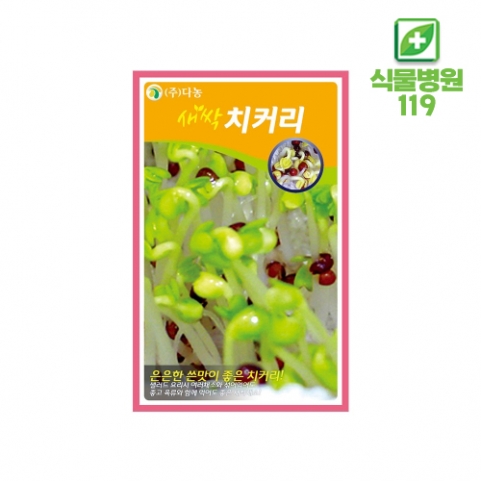 [새싹채소] 치커리 씨앗 10g~25g