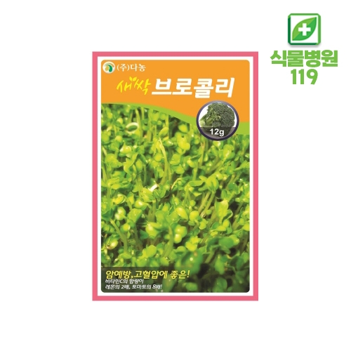 [새싹채소] 브로콜리 씨앗 12g~30g