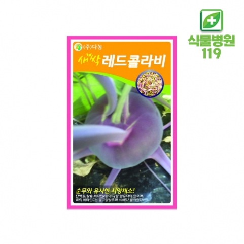 [새싹채소] 레드콜라비 씨앗 12g~30g