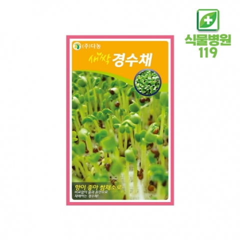 [새싹채소] 경수채 씨앗 12g~30g