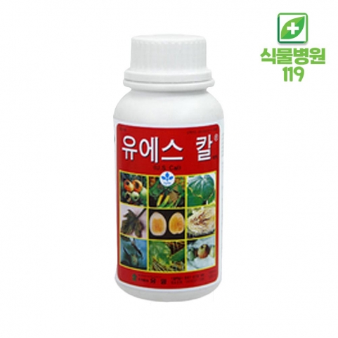 유에스칼 500ml 고추칼슘제 끝썩음병 배꼽썩음병 칼슘결핍 석회 비료