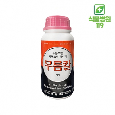 유일 무름칼 액제 500ml 세포조직강화 수분조정 다육이 무름병